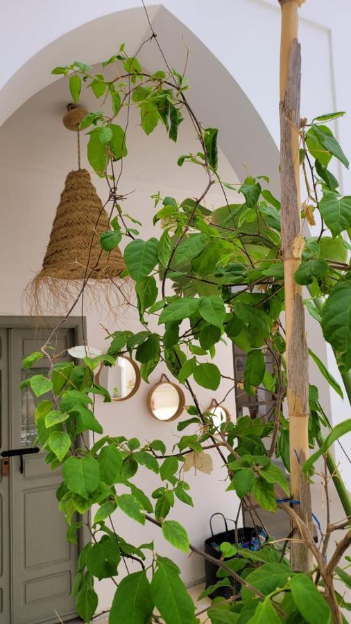 مراكش Riad Nohad Marrakech المظهر الخارجي الصورة